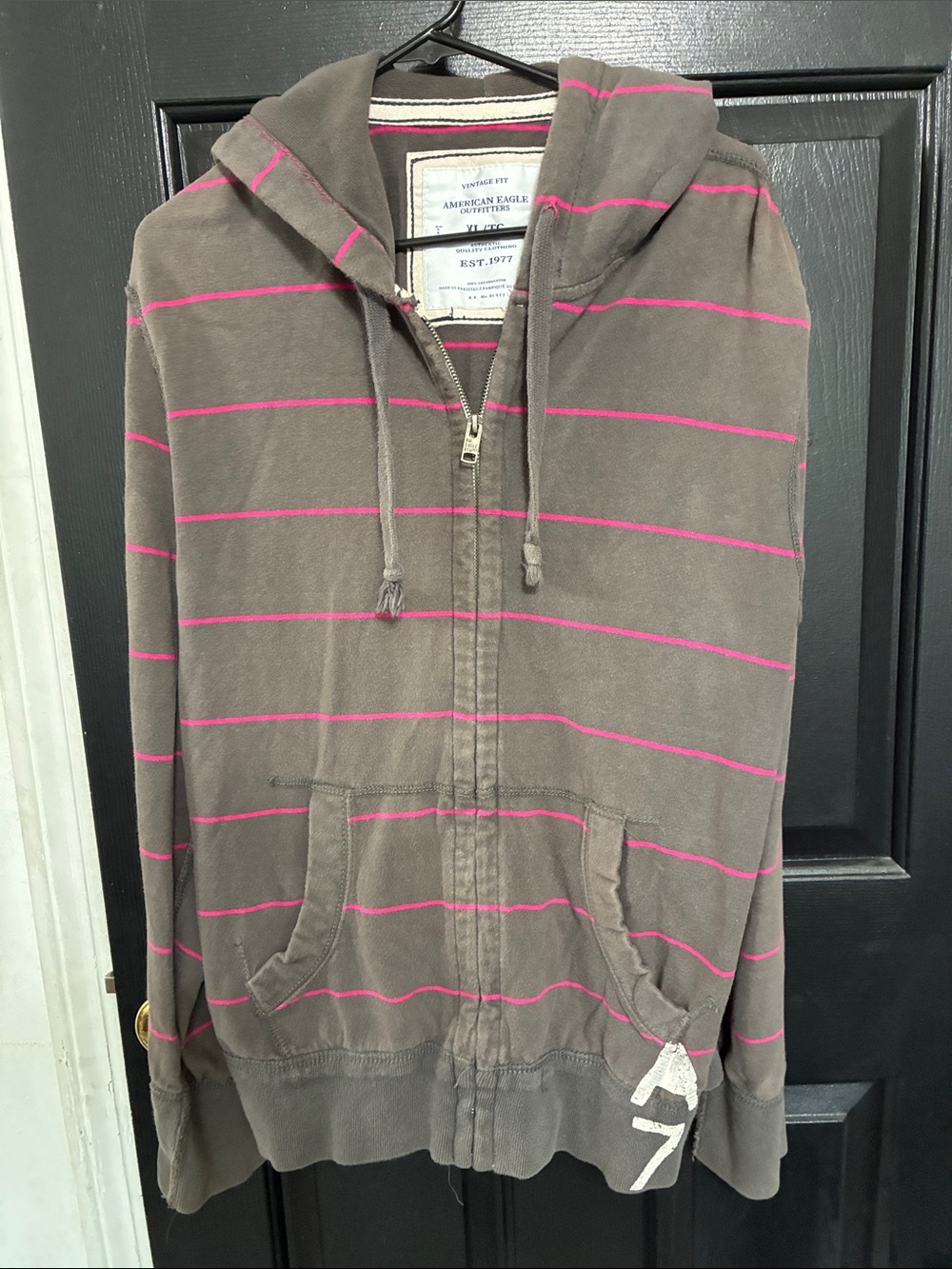 American Eagle Outfitters Gray Zip Hoodie with Pink Stripes